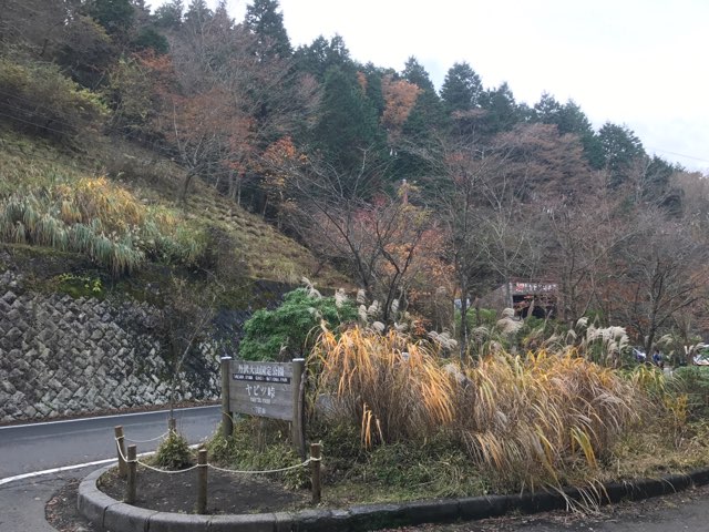ヤビツ峠（神奈川県）
